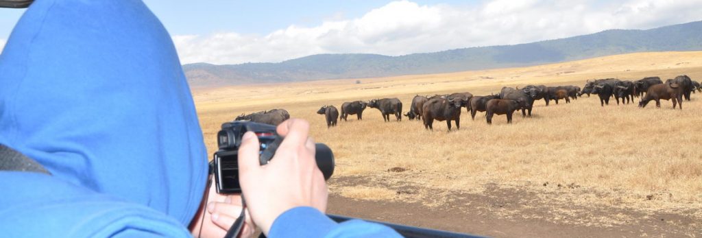 Game_Drives_in_Ngorongoro_Crater