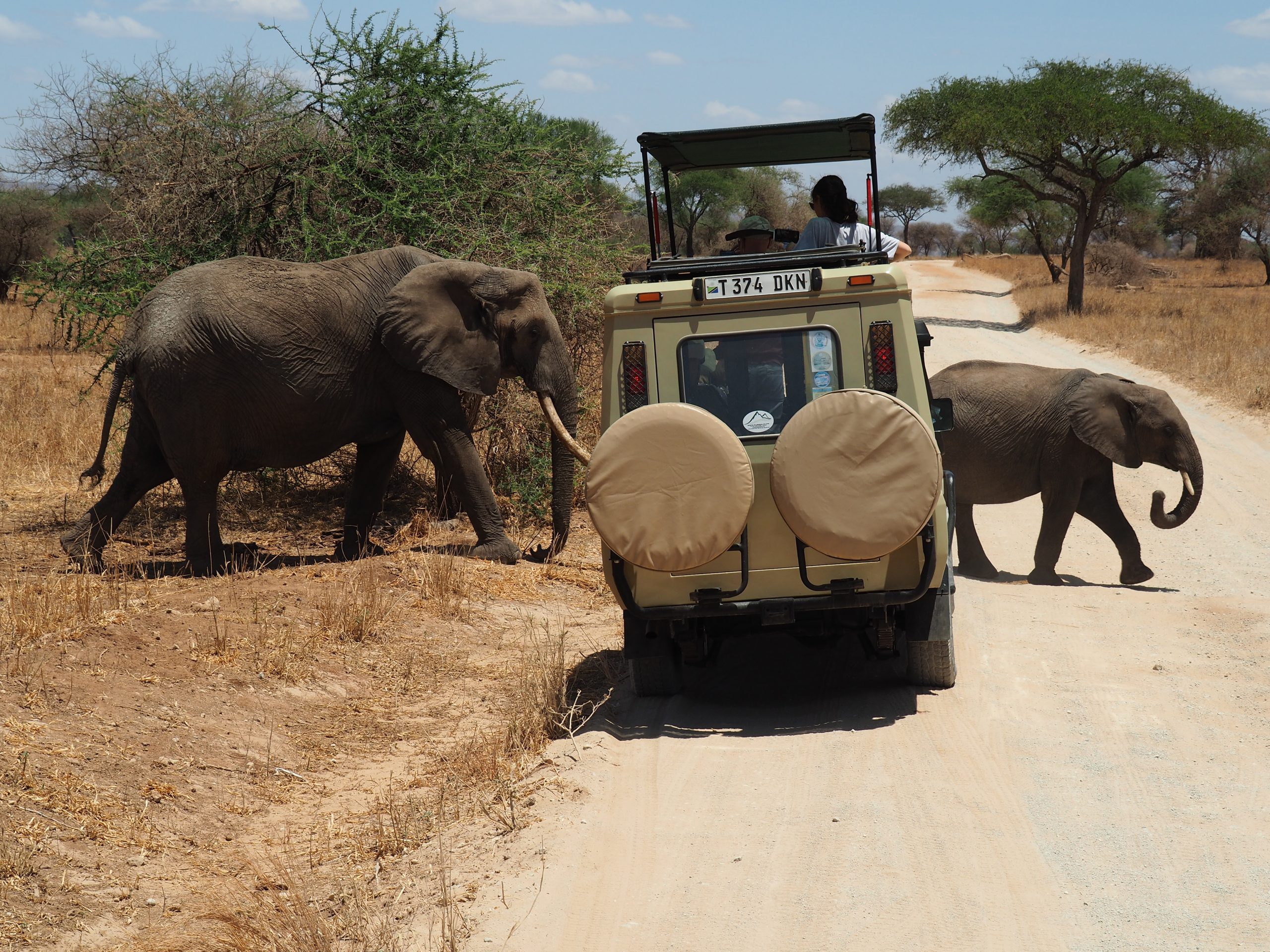 Africa Safari | Africa Safari Package | Africa Safari Tours