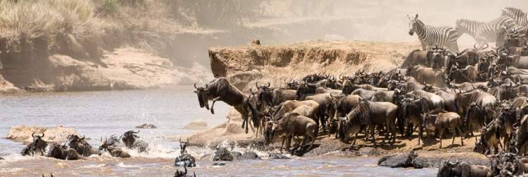 04 days Serengeti and Ngorongoro Safari