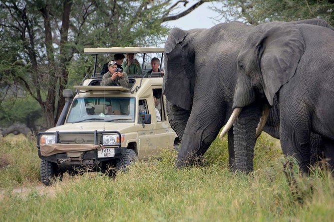 Tanzania Safari Packages