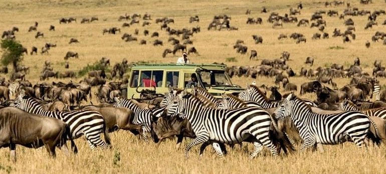Kenya and Tanzania migration safari