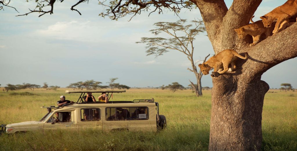 Serengeti luxury safari